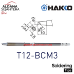 T12-BCM3 (2)